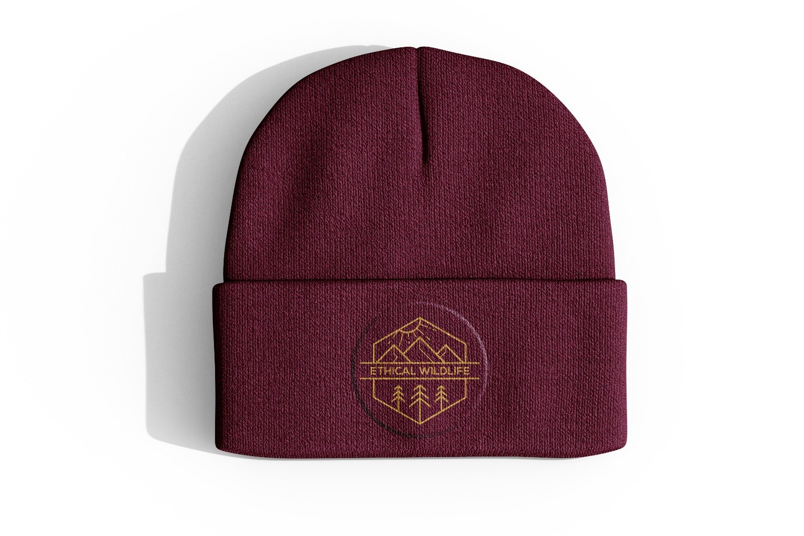 WhatsApp Image 2026 01 12 at 5.22.47 PM